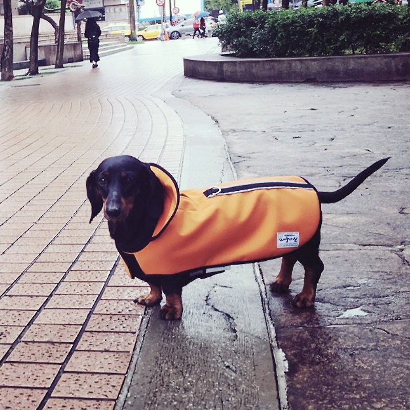 L/2L-Lockwood pets waterproof jacket/ raincoats (orange) Dachshund/Schnauzer/JRT/Pug - ชุดสัตว์เลี้ยง - วัสดุกันนำ้ 