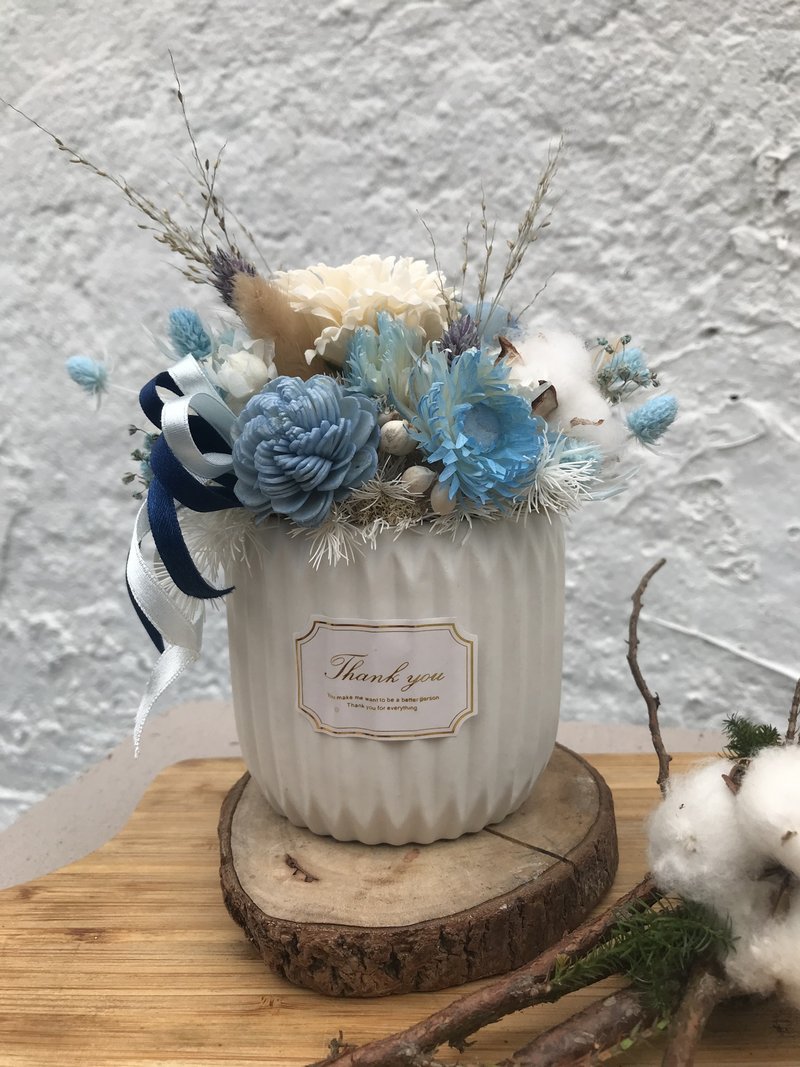 Blue starry sky eternal starry pot flower - Dried Flowers & Bouquets - Plants & Flowers Transparent