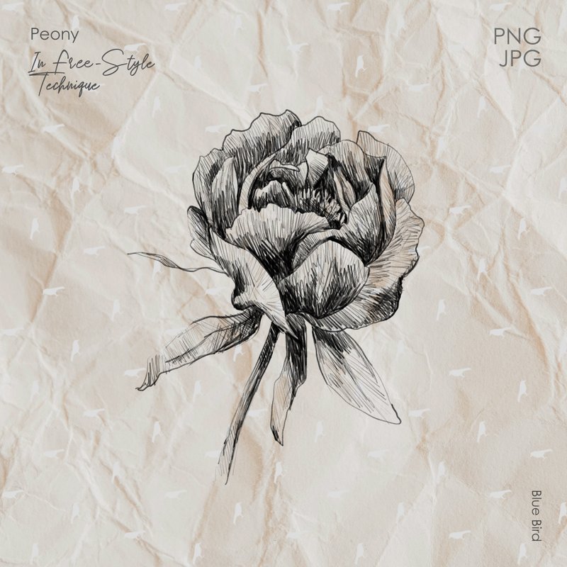Peony flower. Botanical digital art - 其他數位設計 - 其他材質 