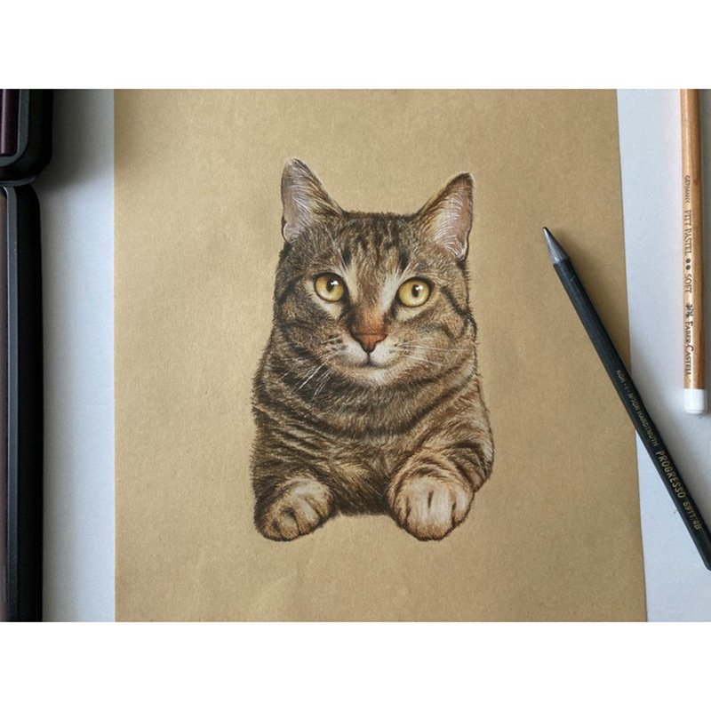 Customized pet color pencil framed portrait customization - ภาพวาดบุคคล - กระดาษ 