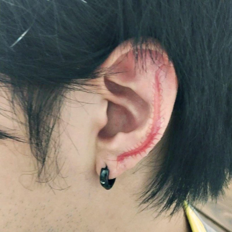 Ear bone centipede [pseudo] earrings / earrings - Earrings & Clip-ons - Other Materials Red