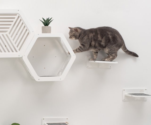 猫家　壇飾り　使用品 猫家 壇飾り 使用品 Shengxuan 招き猫オーナメント - 中国風