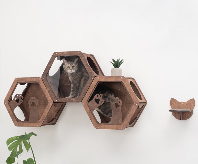 猫家　壇飾り　使用品 楽天市場】壁掛け キャットステップ 猫顔ハウス 木製 穴あけ不要
