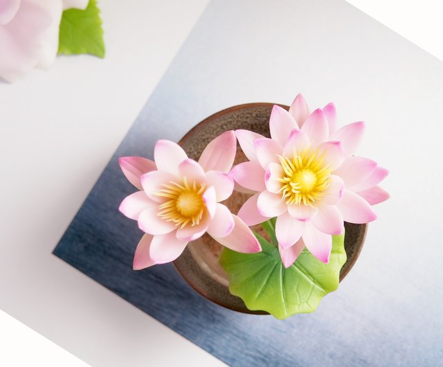 Cold porcelain clay/clay flower art-water lily small potted plant/gift -  Shop liyen-diy Plants - Pinkoi