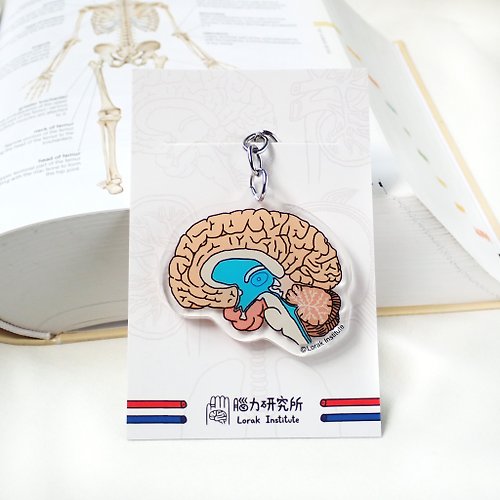 brain organ viscera keychain keychain - Shop Lorak Institute Keychains -  Pinkoi
