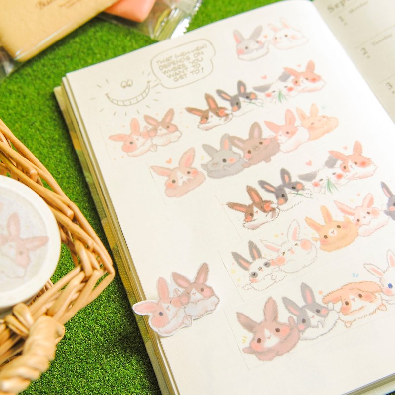 紙膠帶*糰子兔兔