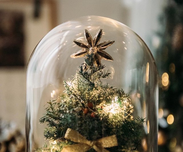 ミニプリザーブドフラワークリスマスツリーガラスカップカバー