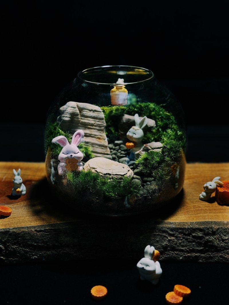 【中秋限定】森森不息的月光派對 苔蘚缸 生態缸 - 盆栽/植栽 - 植物．花 綠色