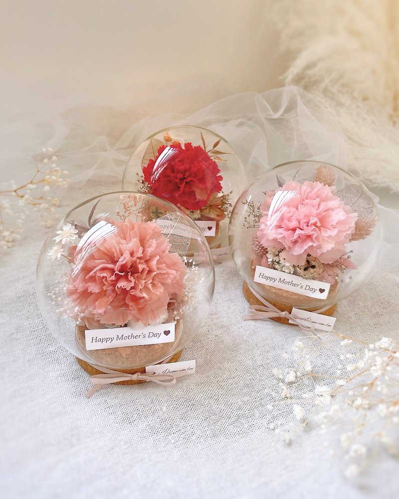 Immortal carnation glass cup - round ball type l 4 types of Japanese immortal carnations come with a transparent carrying box - Dried Flowers & Bouquets - Plants & Flowers Pink