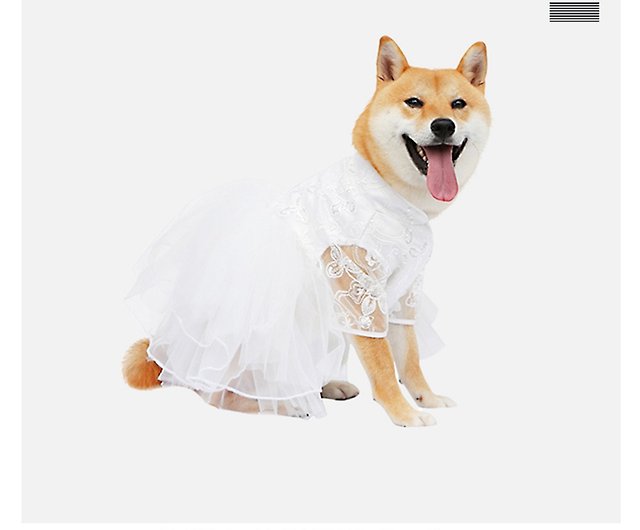 犬用ウエディングドレス????