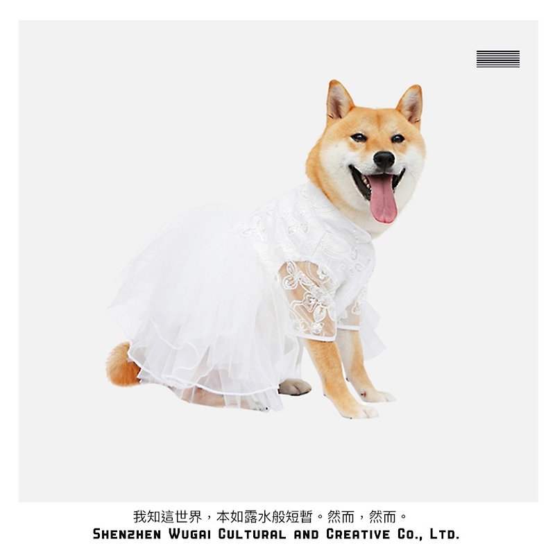 Well this exclusive custom Shiba Inu corgi dog go out dress wedding dress wedding clothes Japanese cotton - Clothing & Accessories - Cotton & Hemp 