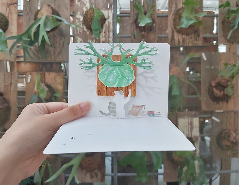Did you see my cat? - Staghorn Fern 3D Card DIY Material Pack