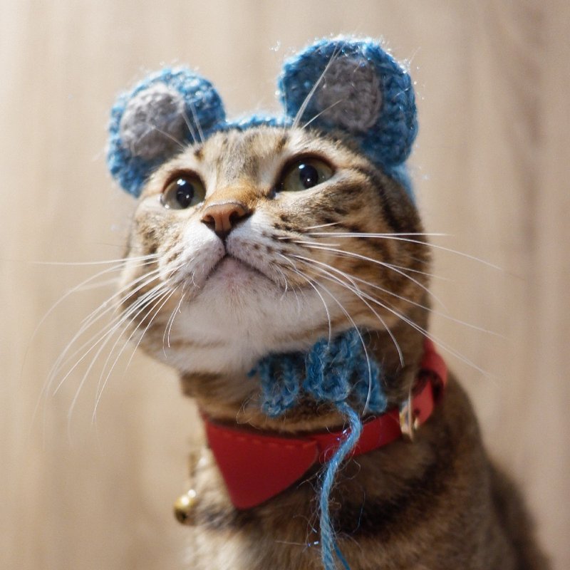 Grandma's Love Handmade Cat Woolen Hat-Bear Style - ชุดสัตว์เลี้ยง - วัสดุอื่นๆ สีน้ำเงิน