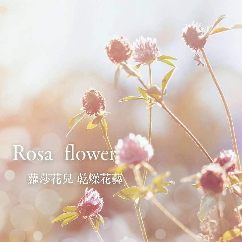 Rosa Flowers オーダーメイドの軽量の小さな花束 - ドライフラワー・ブーケ - 寄せ植え・花 