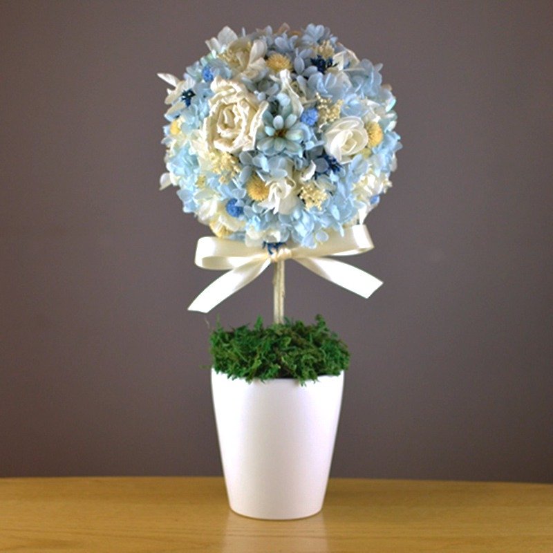 Chun Yang fragrant flowers tree - elegant water blue fragrant flowers not withered - Plants - Plants & Flowers Blue