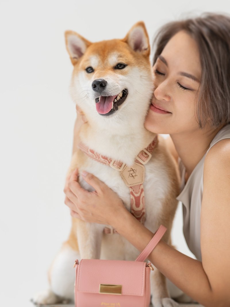【Pawlaneta】Vivid寵物胸背帶-Y型款 - 其他 - 其他材質 多色