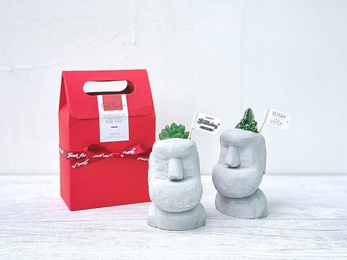 [24H shipping. Recommended birthday gift] Kind Moai Succulent Cement in Cement Basin