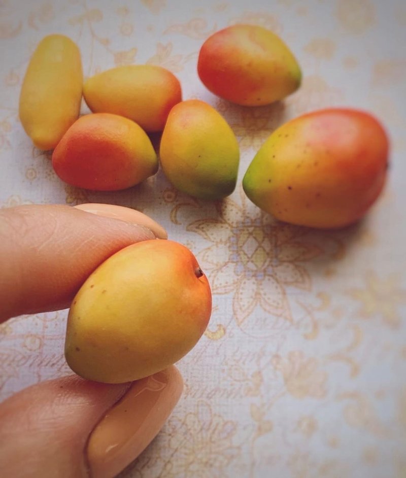 Miniature mango. TUTORIAL polymer clay. Mini fruits. Fake fruit. 教程. 微型. 芒果 - 手工藝教學/工具書 - 其他材質 