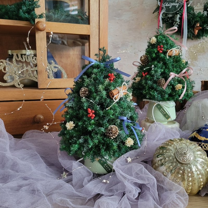 冬日的祝福 | 2025桌型永生雪松聖誕樹 | 可選緞帶色 | 客製禮物 - 擺飾/家飾品 - 植物．花 