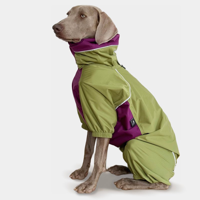 PETT2GO Dog Breathable Raincoat With Legs - Avocado Green - Clothing & Accessories - Polyester Blue