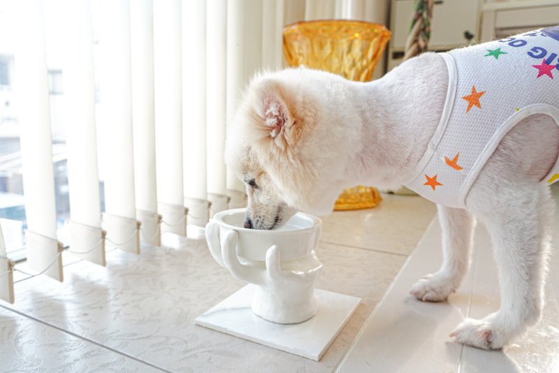 仿手形狀的寵物碗架 - 寵物碗/碗架/自動餵食器 - 黏土 白色