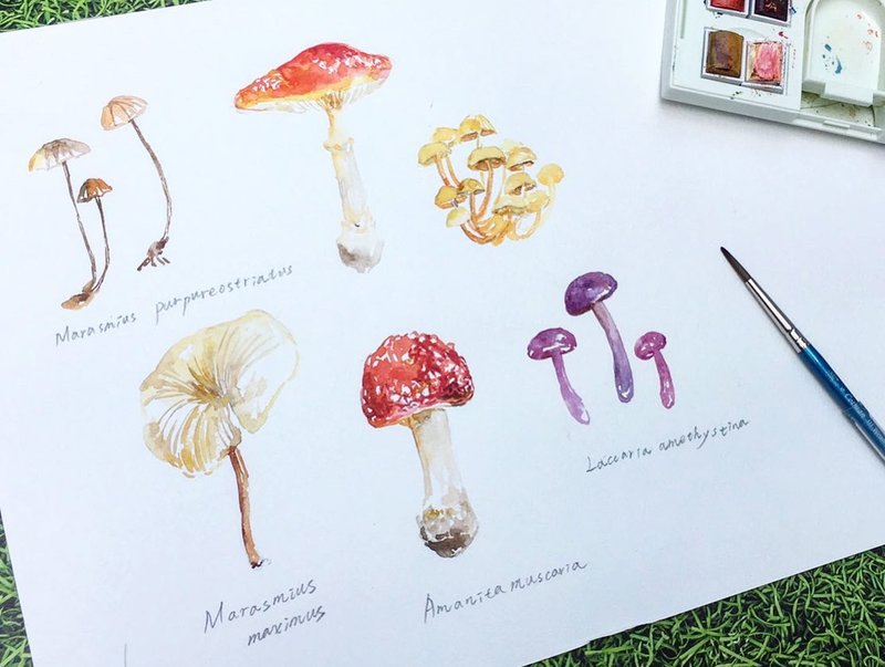 【一人成團】元氣菇菇 / 水彩渲染插畫 - Hazel老師 - 插畫/繪畫/寫字 - 紙 