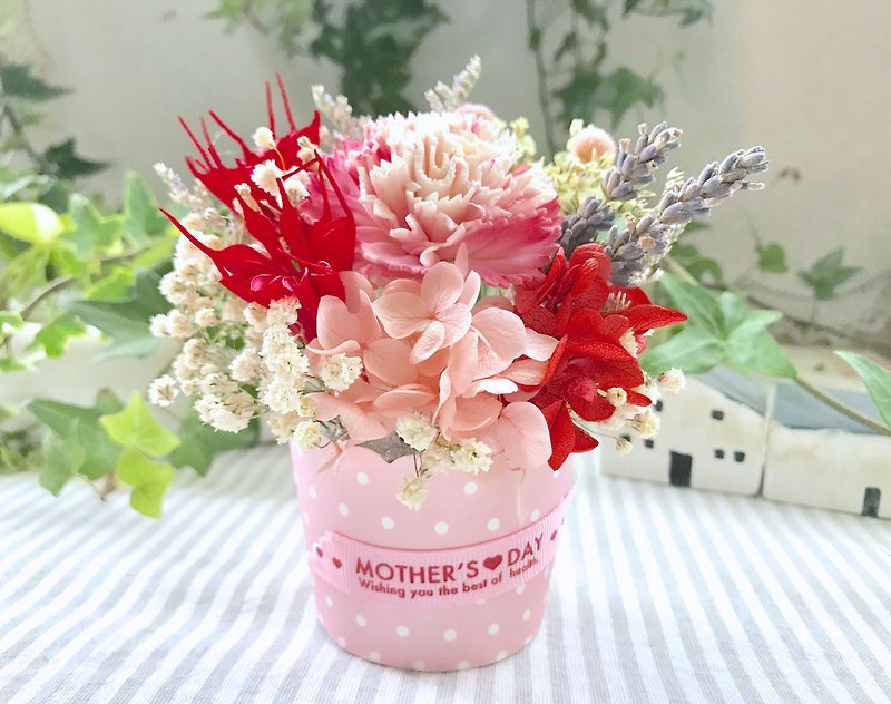 Masako Carnation Lavender Cream Cake Everlasting Flower Flower Mother's Day Limited - Dried Flowers & Bouquets - Plants & Flowers 
