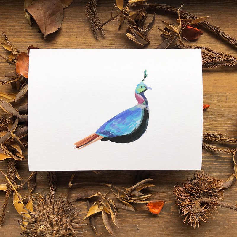 Birds and Birds Series Brown tailed Rainbow Pheasant Postcard - การ์ด/โปสการ์ด - กระดาษ สีน้ำเงิน