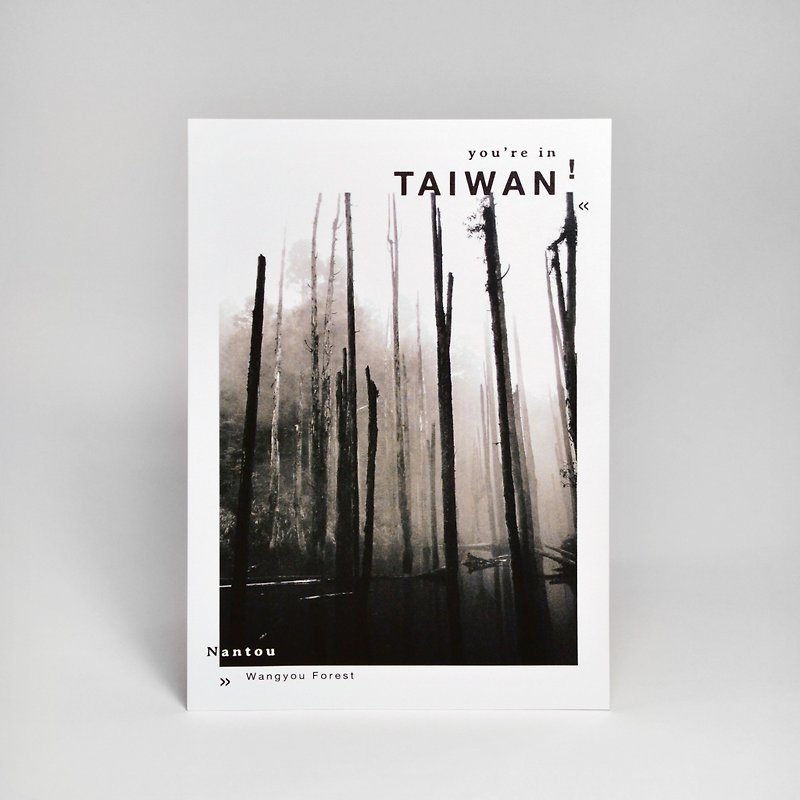 Photography Taiwan Postcard-Nantou Wangyou Forest - Cards & Postcards - Paper White