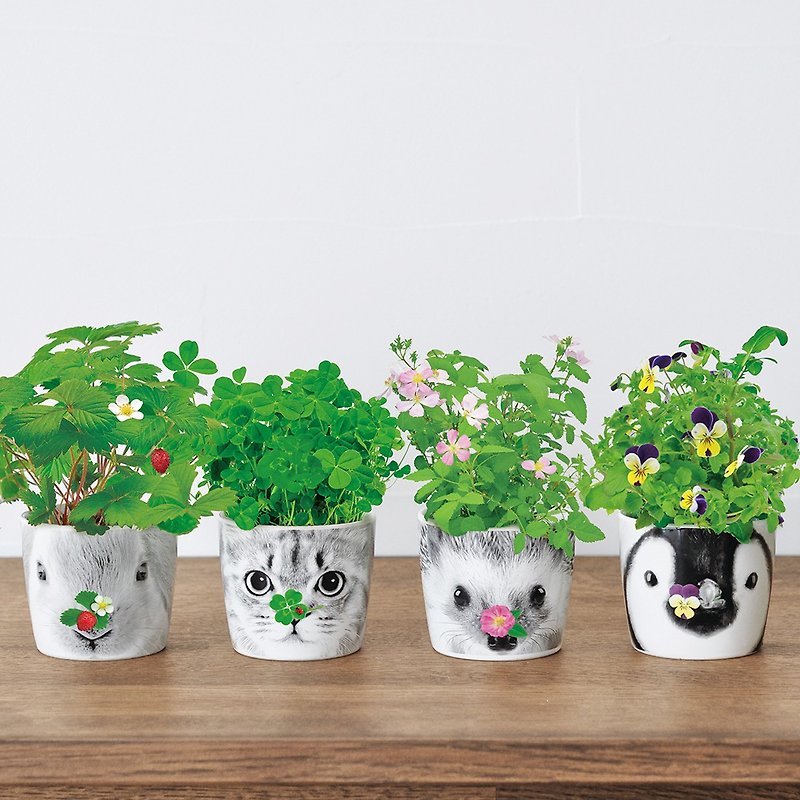 【Welcome to the Year of the Rabbit】HANA &ANIMALS Animal Ceramic Flower Cultivation Pot - Plants - Pottery White
