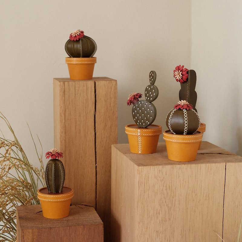 CACTACEAE, REVIVAL Leather Cactus Box - Plants - Genuine Leather Multicolor