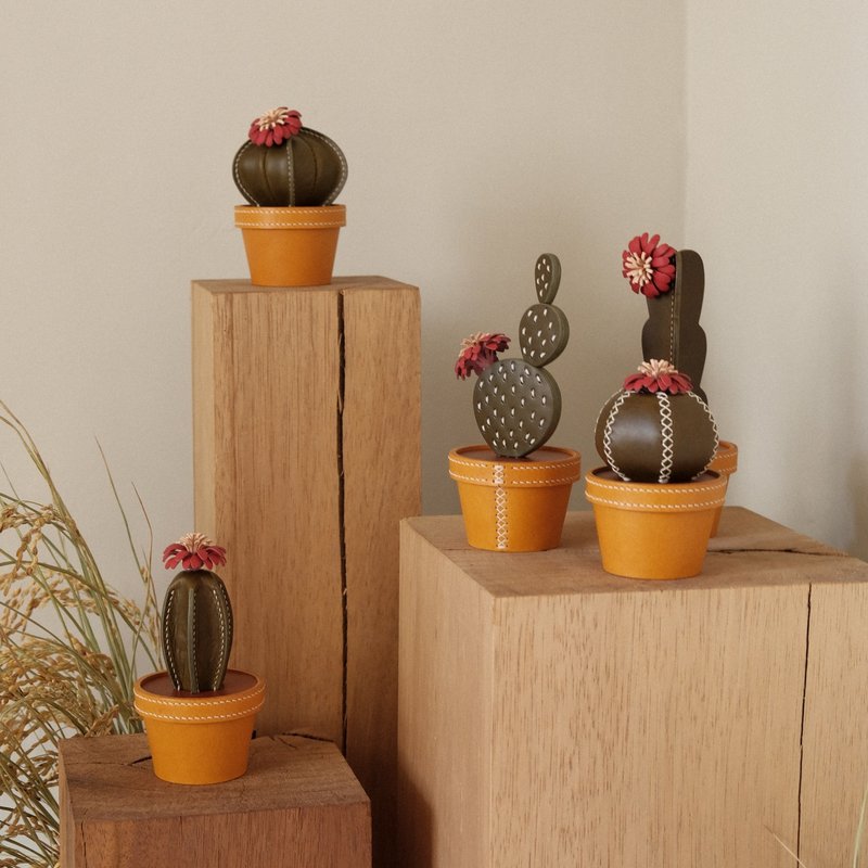 CACTACEAE, REVIVAL Leather Cactus Box - ตกแต่งต้นไม้ - หนังแท้ หลากหลายสี