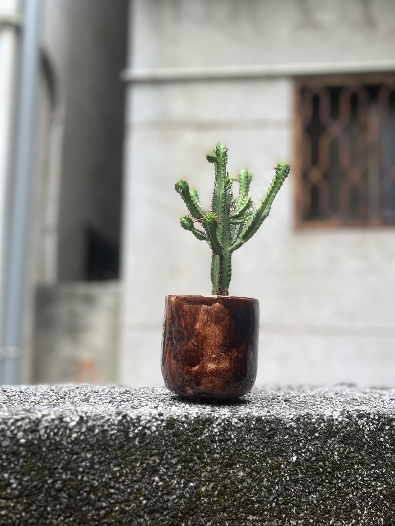 /Cactus/ Hand-made potted plants with small clods of soil - ตกแต่งต้นไม้ - พืช/ดอกไม้ สีนำ้ตาล