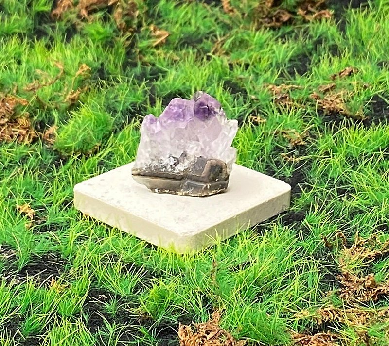 能量擺飾-天然原皮原礦可愛夢幻紫 紫水晶晶簇 快速出貨 財運水晶 - 裝飾/擺設  - 水晶 紫色