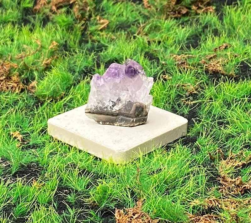 能量擺飾-天然原皮原礦可愛夢幻紫 紫水晶晶簇 快速出貨 財運水晶 - 擺飾/家飾品 - 水晶 紫色