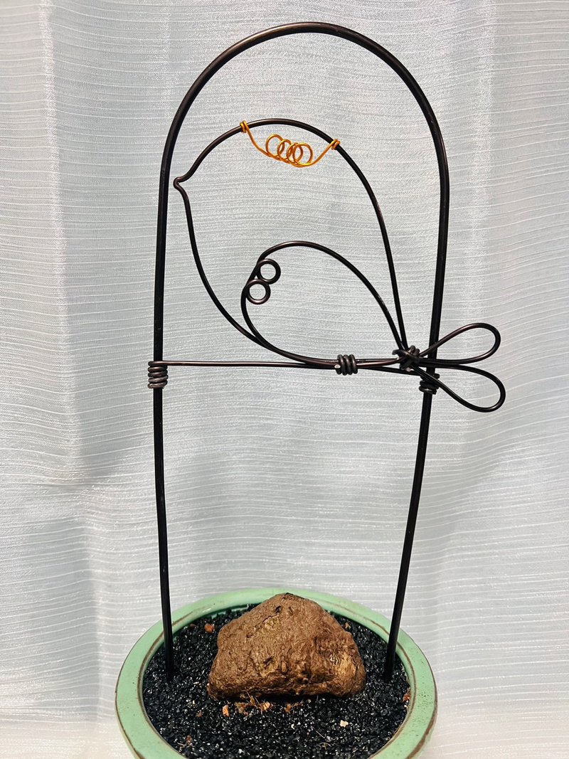 山烏龜 龜甲龍鋁線攀爬架 - 盆栽/植栽 - 其他金屬 咖啡色