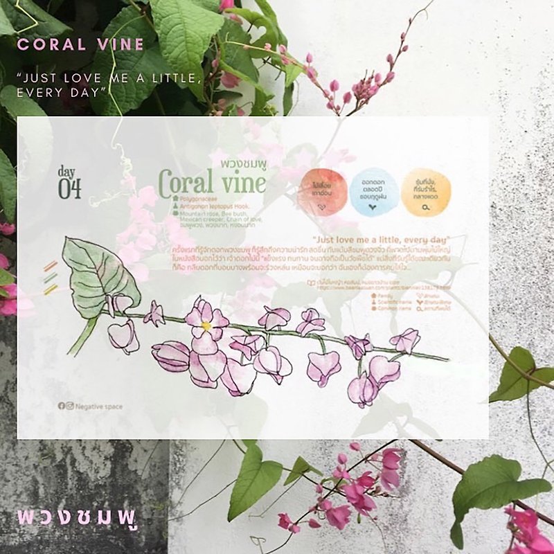 【coral vine flower 】【calendar card】【Pinkoi Xmas 2022】【ของขวัญคริสต์มาส】 - 心意卡/卡片 - 紙 