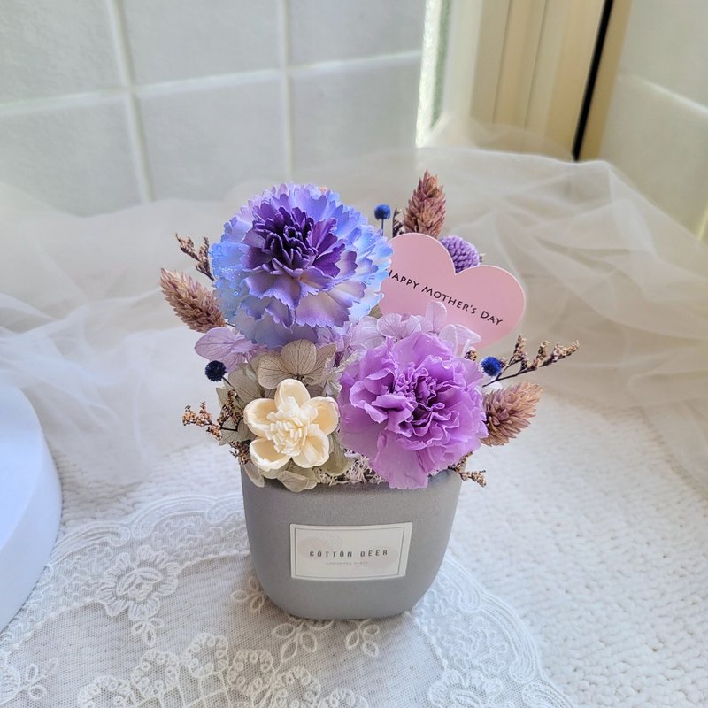 康乃馨小桌花。玻璃罩盅。擺飾。附包裝。母親節 - 乾燥花/永生花 - 植物．花 