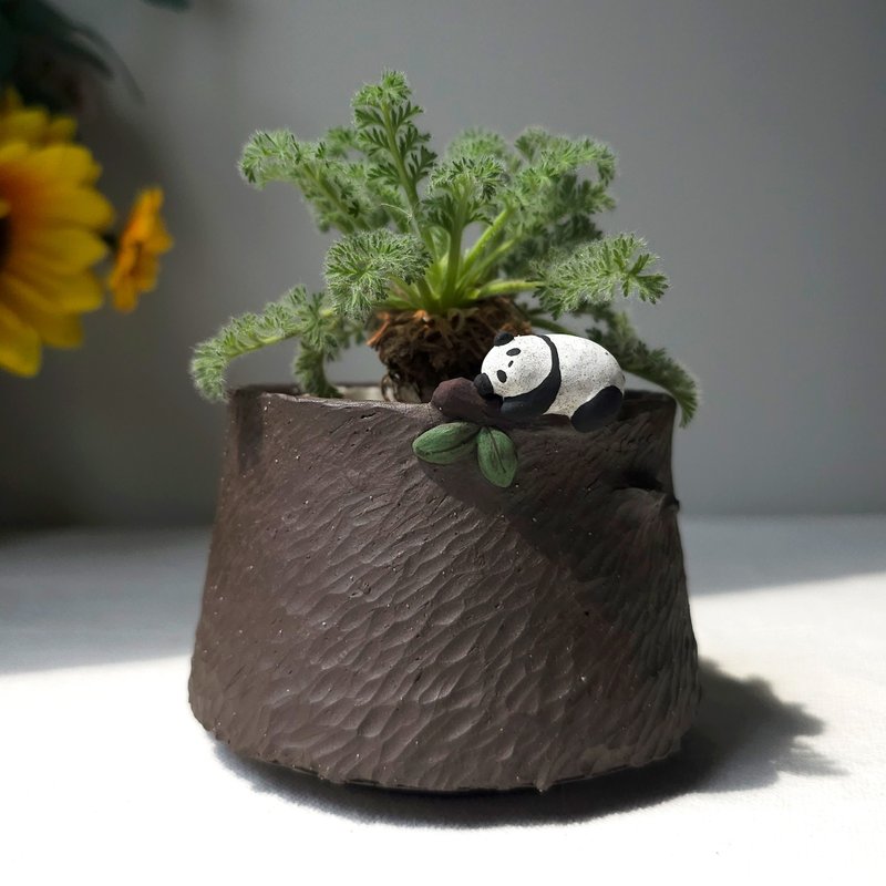 little sleeping panda on black clay planter. - 花瓶/花器 - 陶 