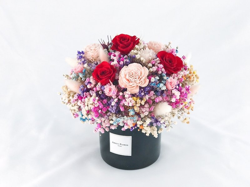 Colorful candy potted roses/color gypsophila/dry flowers/without flowers/gift/birthday/opening - ตกแต่งต้นไม้ - พืช/ดอกไม้ หลากหลายสี