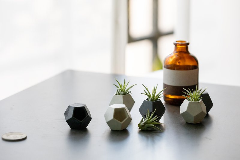 Desktop mini pineapple Cement pot with plants - ตกแต่งต้นไม้ - พืช/ดอกไม้ ขาว