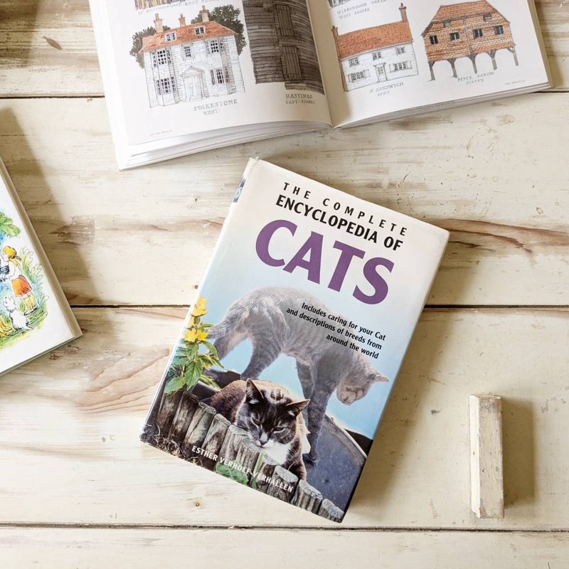 本書採下單後開始尋書/世界貓百科全書 - 刊物/書籍 - 紙 黃色