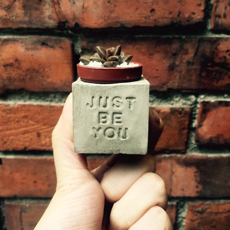 Just be you~! Succulent Magnet Potted Plants - Plants - Cement Gray