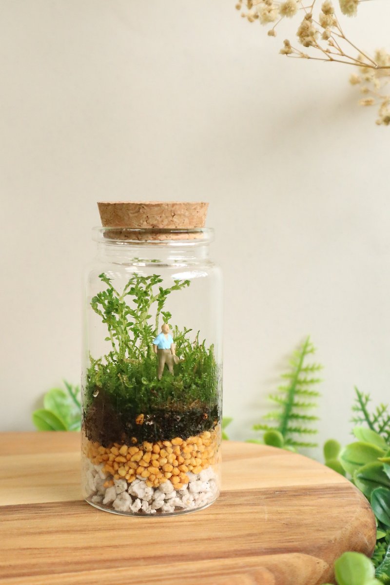 【Micro Landscape】Changing Tour- Moss Group Pot/Adventure/Gift Exchange/Birthday Gift - Plants - Glass Green