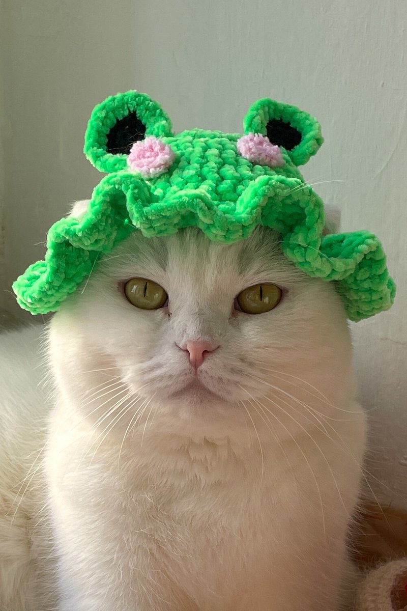 frog cat hat, frog hat crochet pattern, cat frog hat, cute pet hat, bucket hat - 手工藝教學/工具書 - 其他材質 