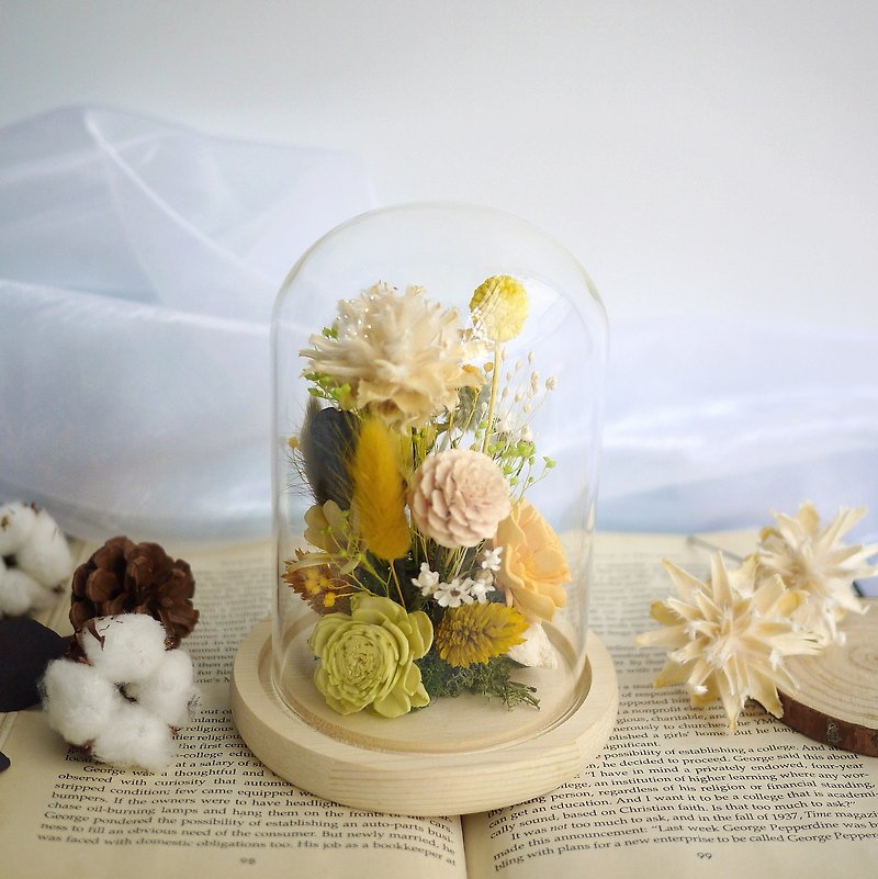 Early Autumn Praise-Gyro Fruit Sun Rose Glass Cover Immortal Flower - Dried Flowers & Bouquets - Plants & Flowers Red