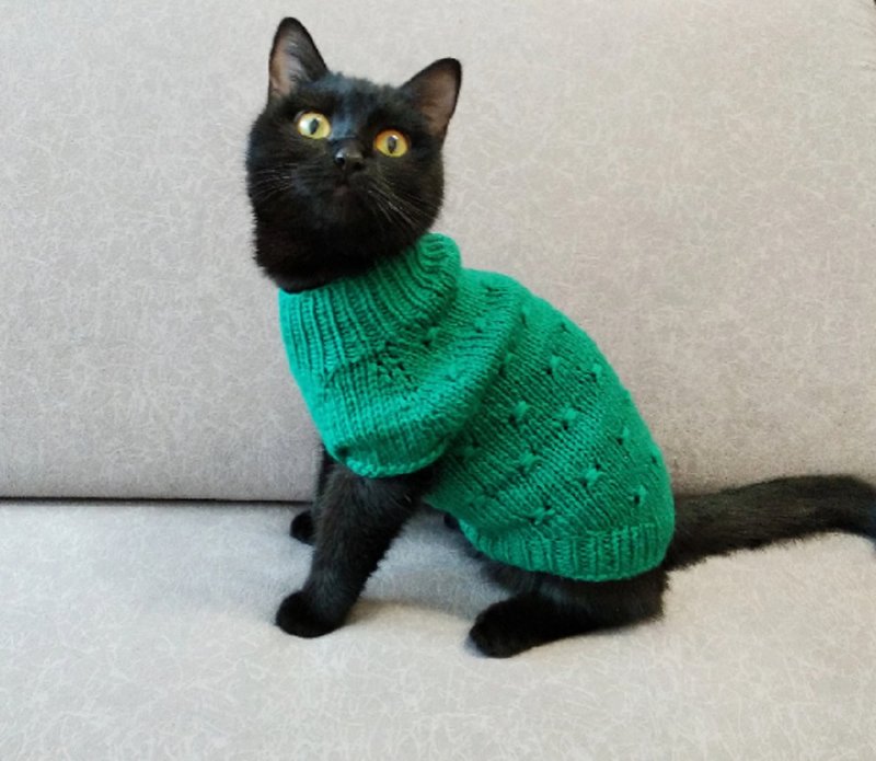 Hand knit cat sweater Jumper for cat Pet sweater Sphynx cat sweater Pets outfit - 寵物衣服 - 羊毛 