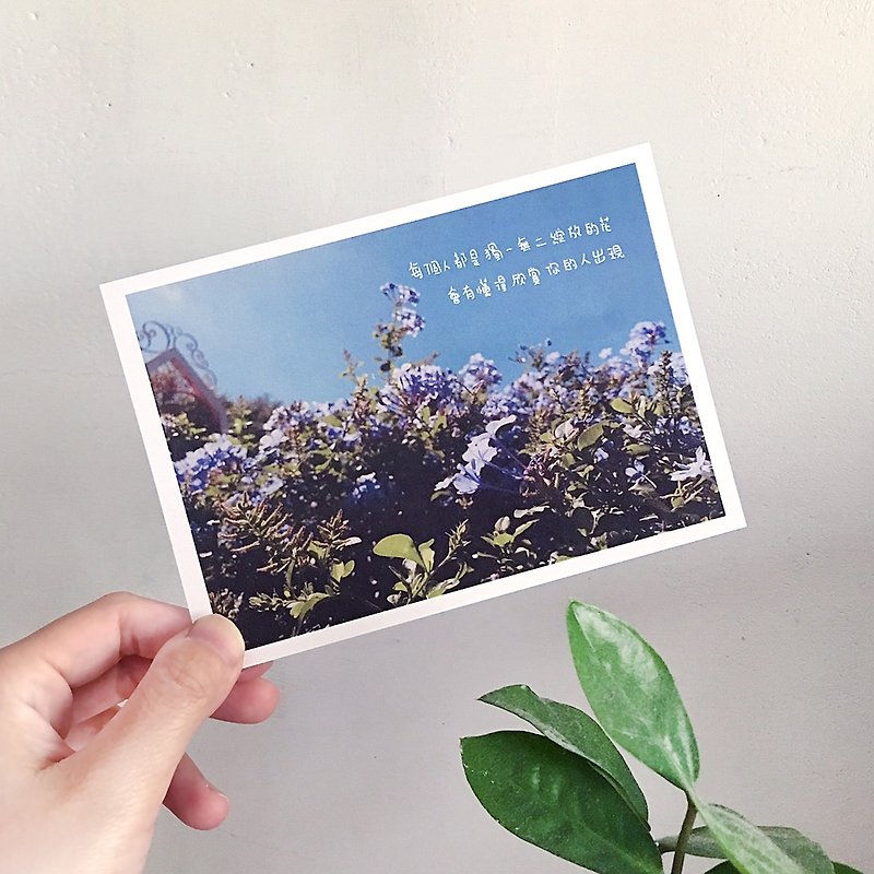 Postcard_We are all a flower - การ์ด/โปสการ์ด - กระดาษ สีม่วง