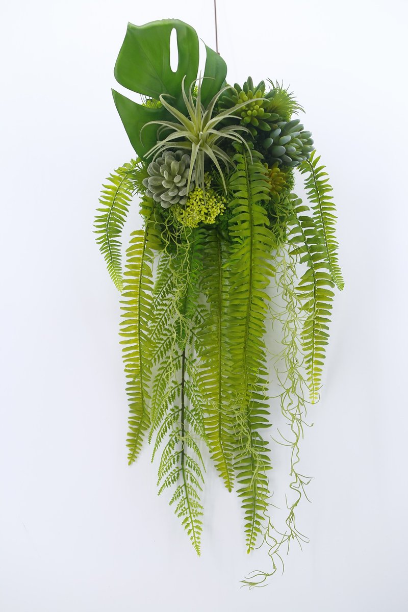 空氣鳳梨蕨類藤蔓植物壁飾 免運專人配送限雙北市 其餘地區需補運 - 盆栽/植栽 - 其他材質 綠色