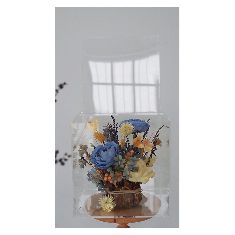 Preserved dried flowers Acrylic flower box - ช่อดอกไม้แห้ง - พืช/ดอกไม้ 